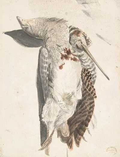 Two Dead Birds (A Quail and a Long-Beaked Bird) by Count Giorgio Durante, 1685–1755 — digital art print download