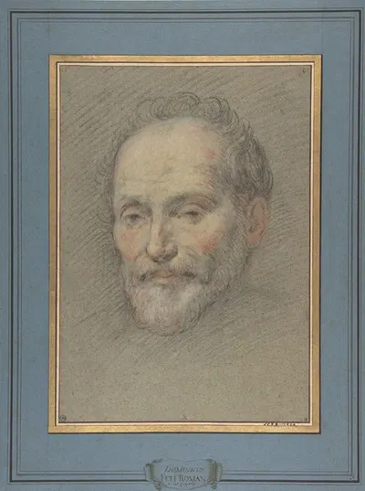 Head of a Bearded Man by Domenico Fetti, 1588–1623 — digital art print download