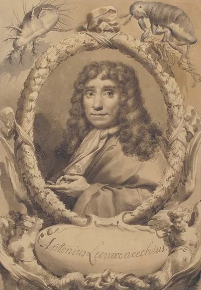 The Dutch Microscopist Anton van Leeuwenhoek by Гаэтано Гандольфи, 1734–1802 — digital art print download