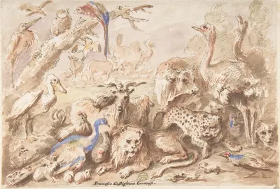 A Congress of Animals by Giovanni Francesco Castiglione, 1641–1710 — digital art print download