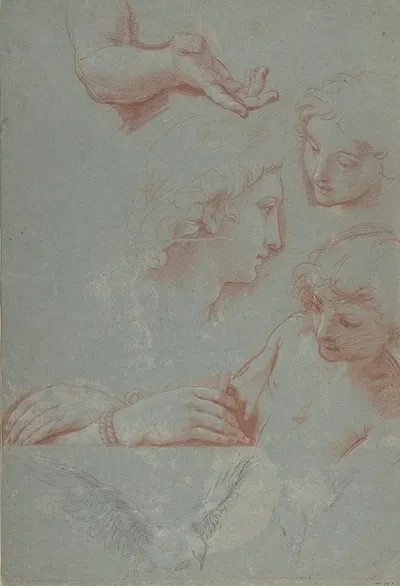 Sheet of Studies; Heads, Hands, and Doves by Luigi Garzi, 1638–1721 — digital art print download