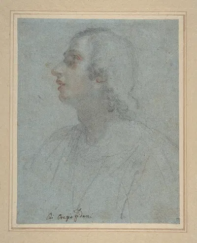 Bust of a Youth Looking to Upper Left by Оразио Фидани — digital art print download