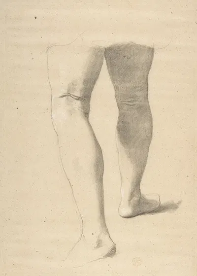 Study of Legs by Romain Cazes — digital art print download
