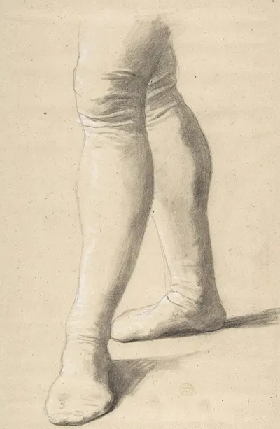 Study of Legs by Romain Cazes — digital art print download