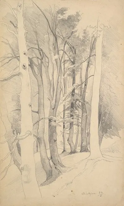 Trees near Diessen by Карл Хуммель — digital art print download
