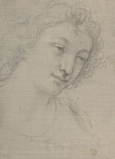 Figure of Young Man or Woman in Bust-length, in Three-Quarter View by Карло Маратти, 1700–1713 — digital art print download