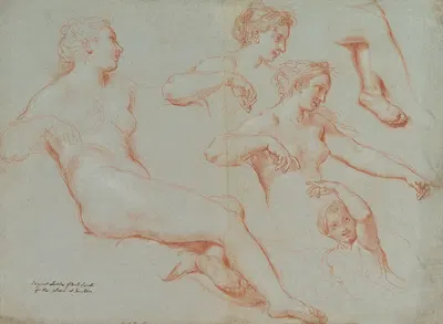 Four Studies of Recumbent Female Nudes (Galatea) by Карло Маратти — digital art print download