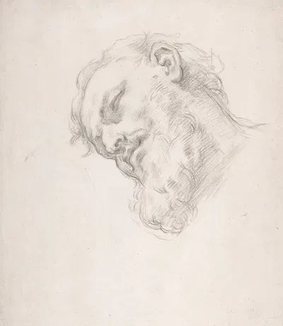 Study for a Head of a Man by Карло Маратти, 1625–1713 — digital art print download