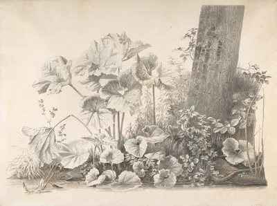 Burdocks, Campions and Brambles by a Treetrunk on a River Bank by Christoph Heinrich Kniep — digital art print download