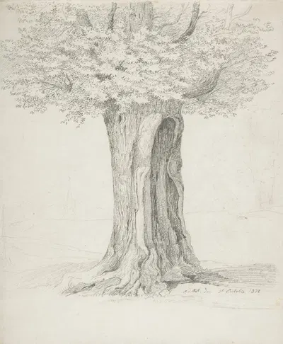 Study of a Tree by Ernst Ferdinand Oehme, 1832 — digital art print download