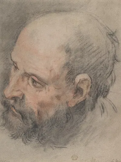 Head of a Bearded Man Looking Left by Франсуа Лемойн — digital art print download