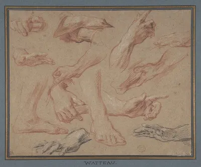 Studies of Hands and Feet by Франсуа Лемойн — digital art print download