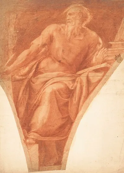 Study of St. Jerome by Girolamo Muziano — digital art print download