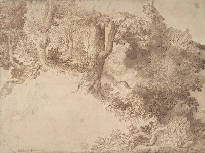 Woodland Scene with Light Sketch of a Madonna and Child by Girolamo Muziano — digital art print download
