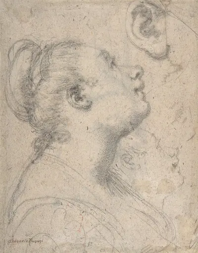 The Head and Shoulders of a Woman in Profile by Gregorio Pagani, 1592 — digital art print download