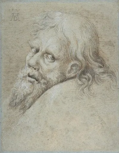Head of a Bearded Man by Ганс Хофман, 1579 — digital art print download
