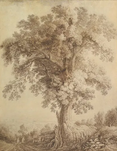 A Large Tree at Albano by Якоб Филипп Хакерт, 1782 — digital art print download