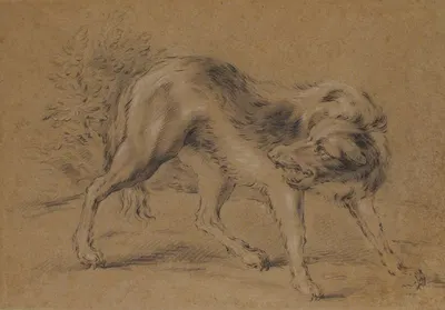 Angry Dog by Jean-Baptiste Oudry — digital art print download