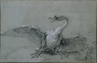 Angry Swan by Jean-Baptiste Oudry — digital art print download