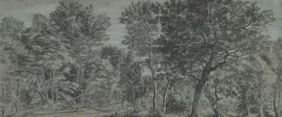 View of a Forest by Йорис ван дер Хааген — digital art print download