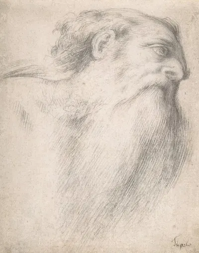 Head of a Bearded Man by Лоренцо Лотто — digital art print download