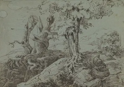 Rugged Moonlit Landscape with a Woman Seated by Gnarled Tree Roots, and an Owl by Людвиг Эмиль Гримм, 1833 — digital art…