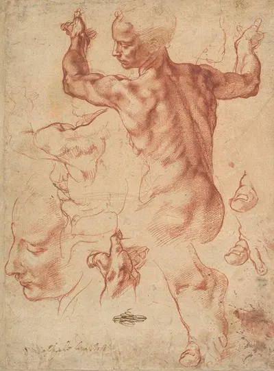 Studies for the Libyan Sibyl by Michelangelo — digital art print download
