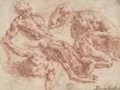 Studies of Nude Men by Nicola Grassi, 1682–1750 — digital art print download