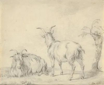 A Standing and a Lying Goat Near a Small Tree by Питер Герардус ван Ос — digital art print download