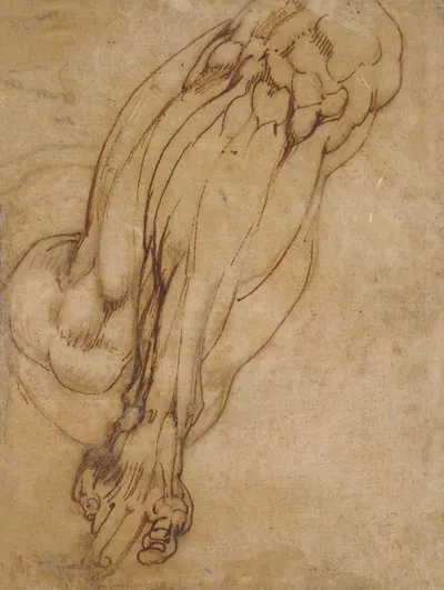 Study of a Leg by School of Michelangelo Buonarroti, 1475–1564 — digital art print download