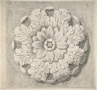 Study of a Classical Rosette by Thomas Hardwick — digital art print download