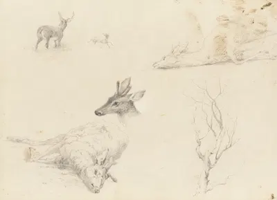 Sketchbook of Landscape and Animal Subjects by Thomas Hewes Hinckley — digital art print download