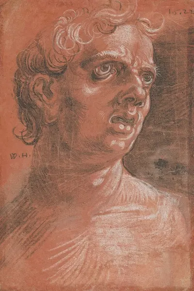 Bust of a Man by Wolfgang Huber, 1522 — digital art print download