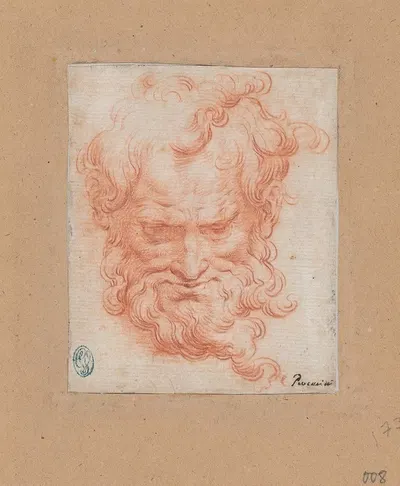 Study of Bearded Man by Camillo Procaccini — digital art print download