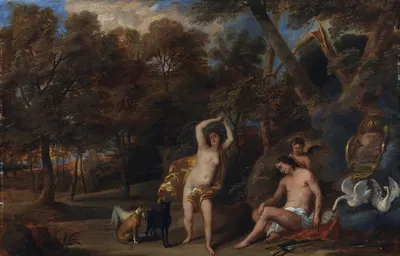 Venus Bewailing the Slain Adonis by Frans Wouters, 1649 - 1659 — digital art print download