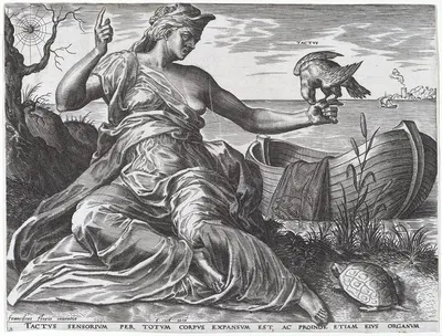 Tactus by Cornelis Cort, 1561 — digital art print download