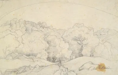 Forest of Fontainebleau (Rideau d’arbres et chemin en foret de Fontainebleau) by François Edouard Bertin — digital art…