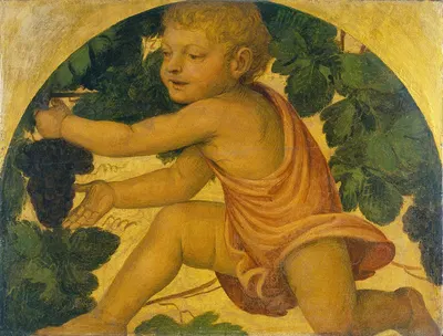 Putto picking Grapes by Бернардино Луни — digital art print download