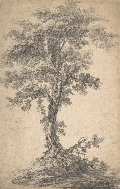 Study of a Tree by Jean-Baptiste Pillement — digital art print download