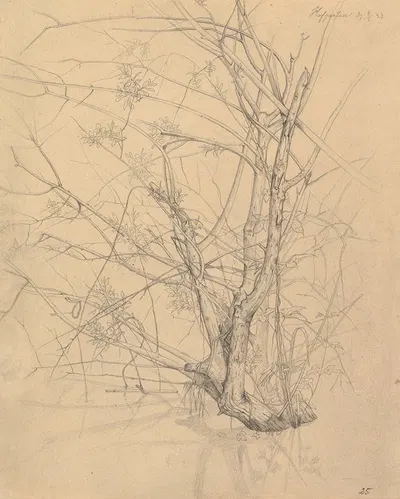Study of a Tree Standing in Water in the Düsseldorf Hofgarten by Johann Wilhelm Preyer, 1833 — digital art print download