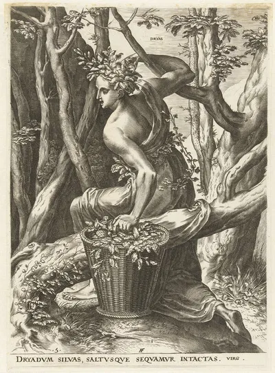 Dryas by Cornelis Cort, 1564 — digital art print download