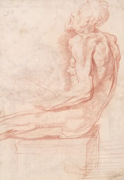 Study of a Seated Old Man by Polidoro da Caravaggio — digital art print download