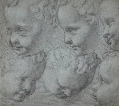Studies of the Head of an Infant (after a three-dimensional model) by Poppi (Francesco Morandini) — digital art print…