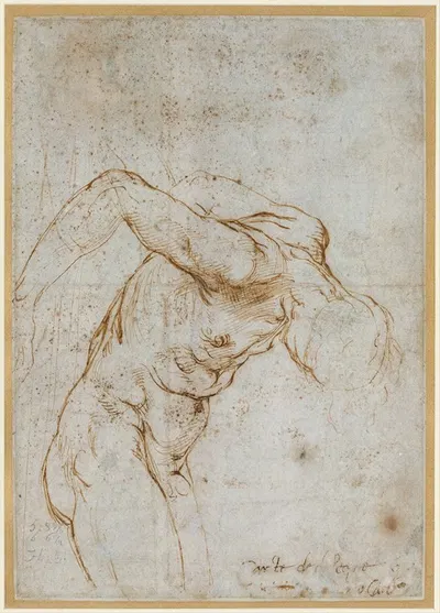 Study of a Nude Male Figure by Raphael — digital art print download
