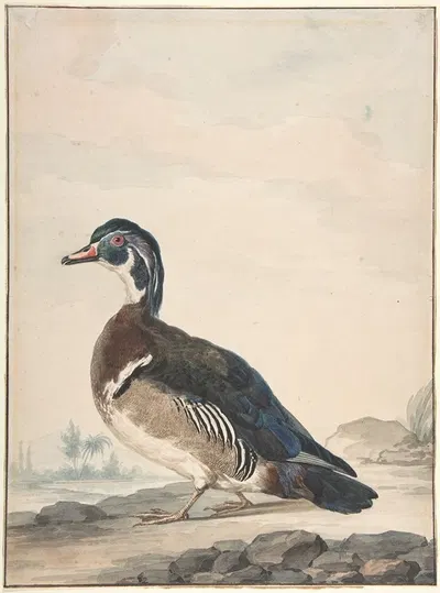 A Duck by Аерт Шоуман — digital art print download