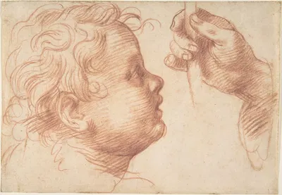 Studies of a Head and a Hand by Андреа дель Сарто, 1510 — digital art print download