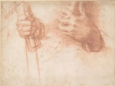 Studies of Hands by Андреа дель Сарто — digital art print download