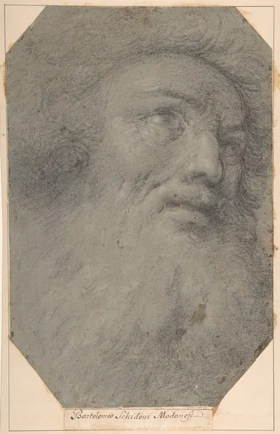 Head of a Bearded Man, Looking up to the Right by Bartolomeo Schedoni — digital art print download