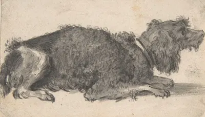 A Dog by Cornelis Saftleven — digital art print download