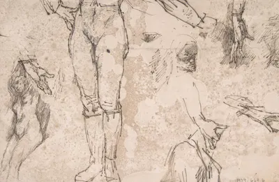Studies of Female Nude, Hands, and Male Torso by Félicien Rops — digital art print download